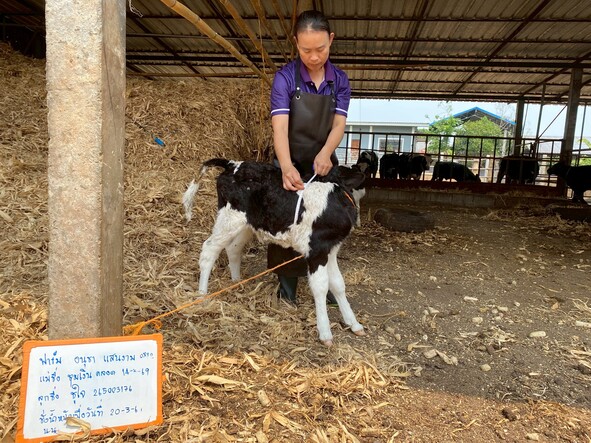 messageImage 1775195617427 0