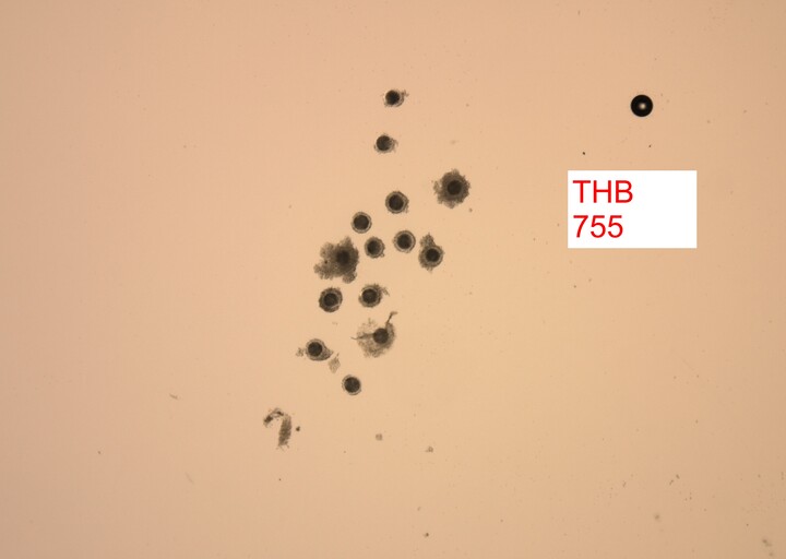 messageImage 1776678552987 0