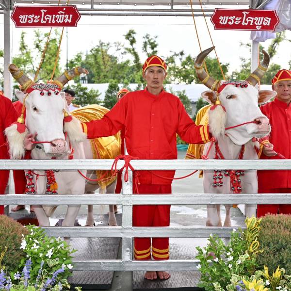 พระราชพิธีพืชมงคลจรดพระนังคัลแรกนาขวัญ ประจำปีพุทธศักราช 2569 