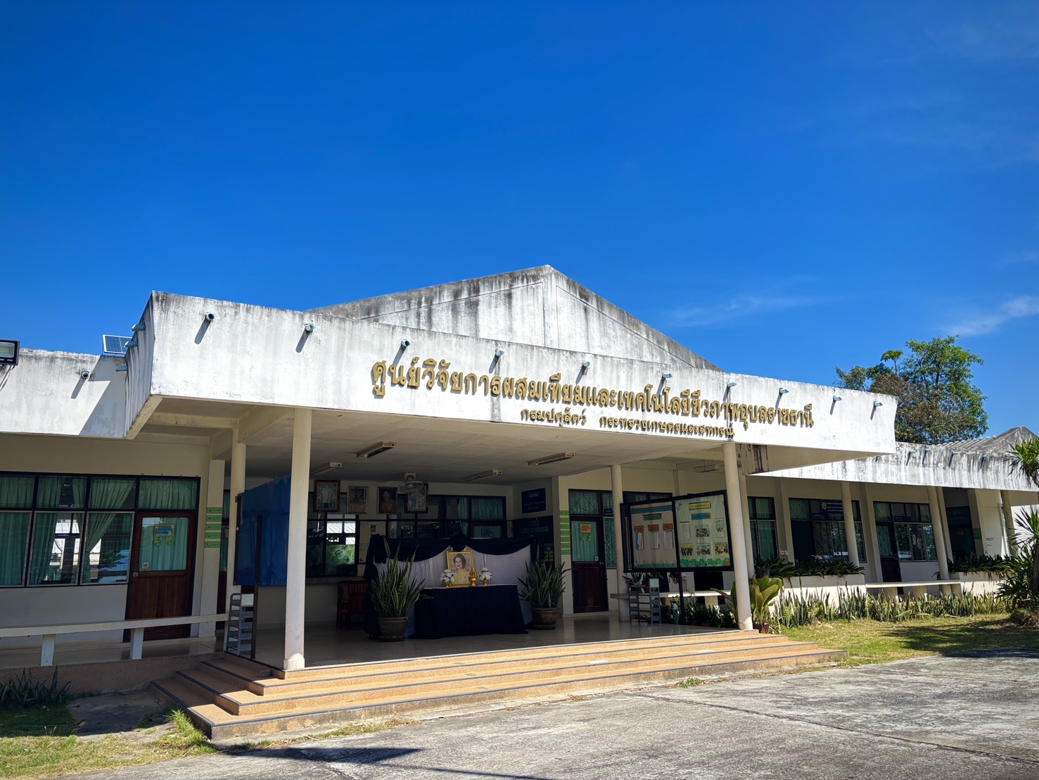 ปศุสัตววว