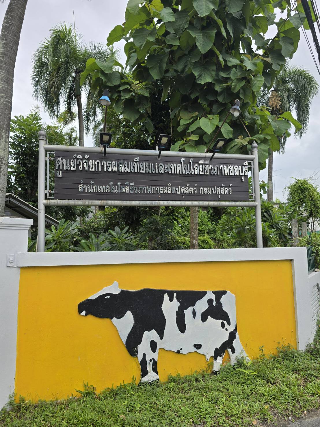 ปศุสัตววว