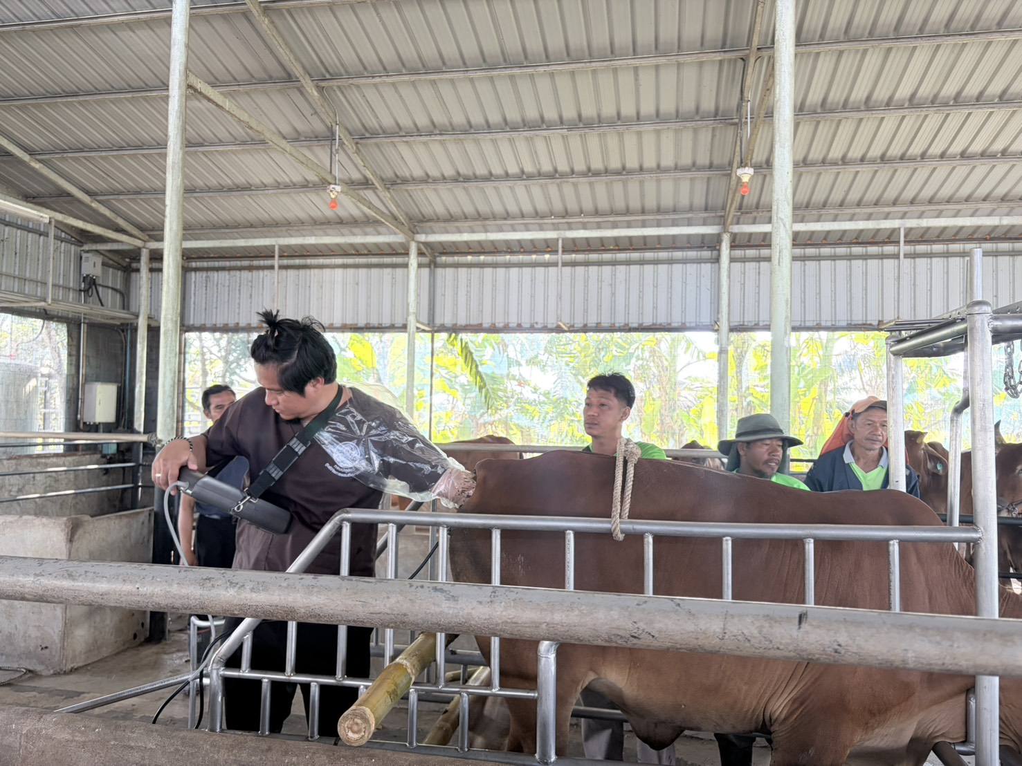 622831396 786578024479301 7925939087902442686 n