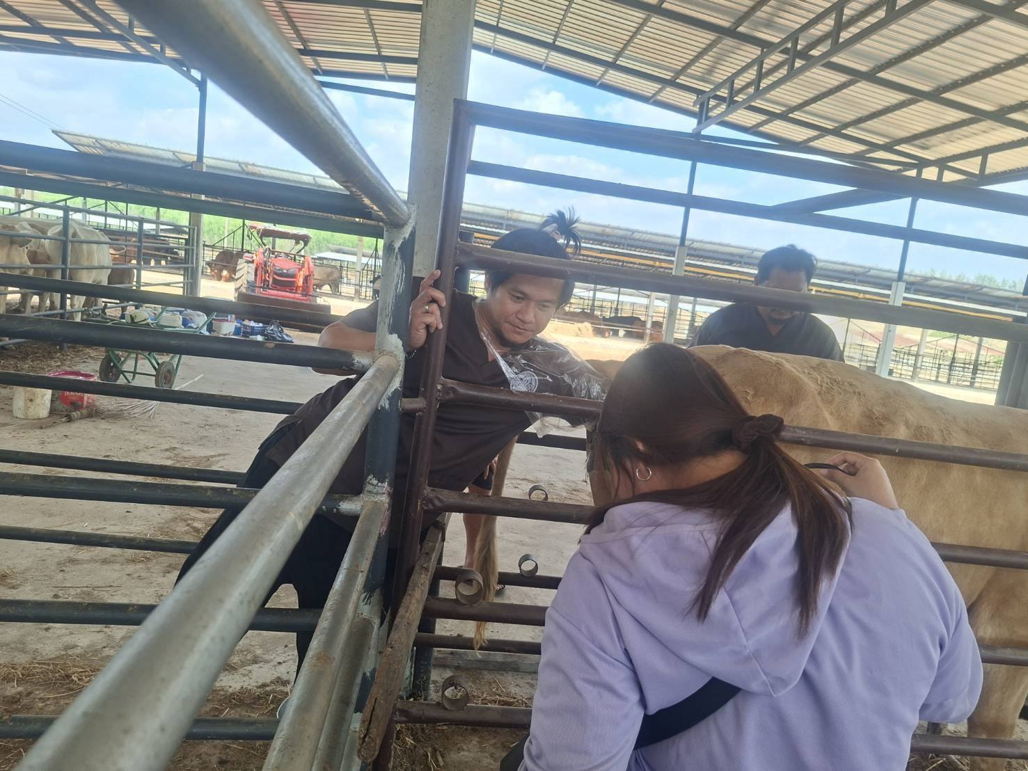 622853997 786578147812622 401000242938428099 n