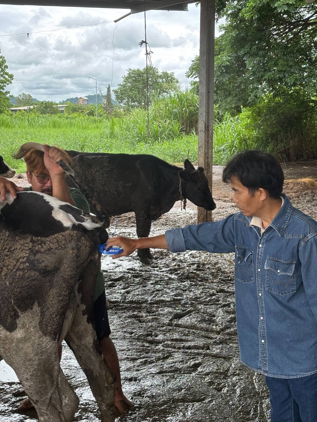 723240835 899175626552873 1583587342277051361 n