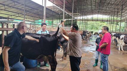 713746 0