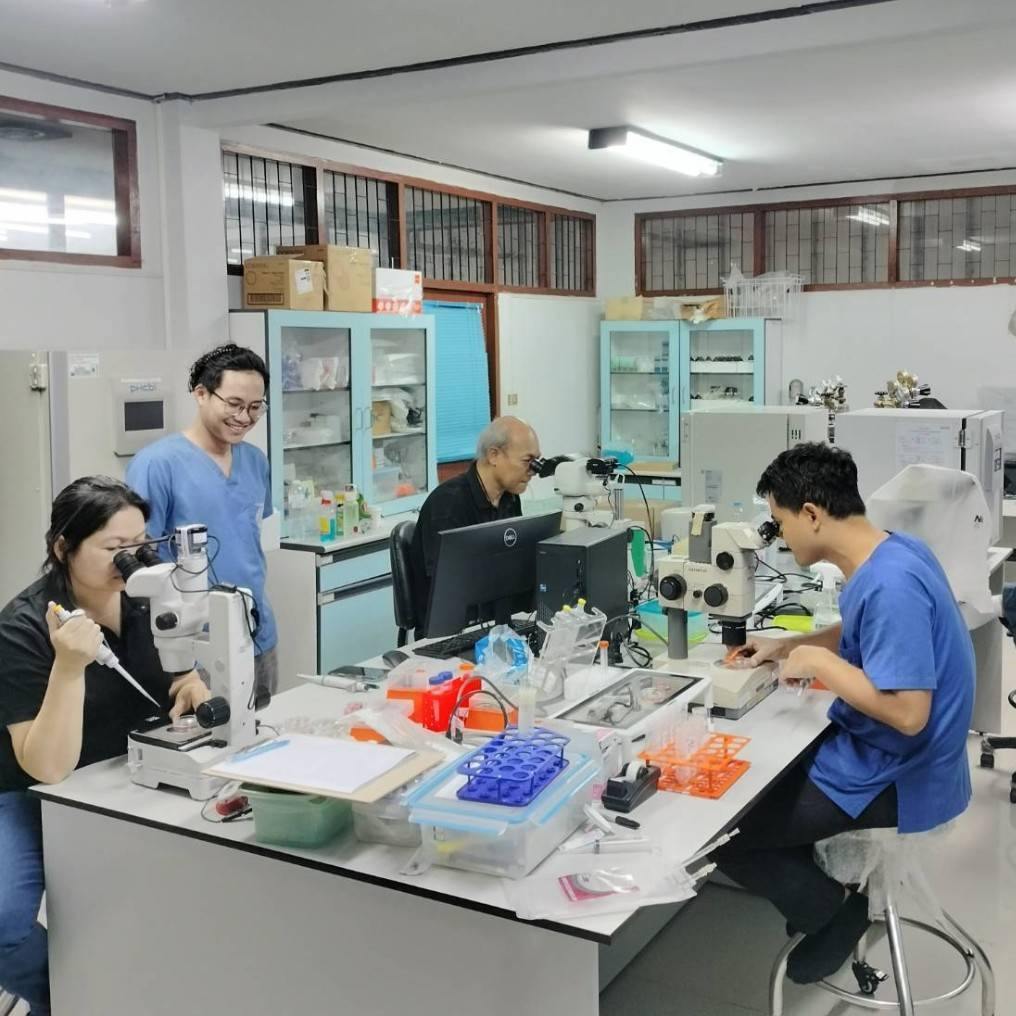 595082139 2105679253579968 2016162652984212929 n