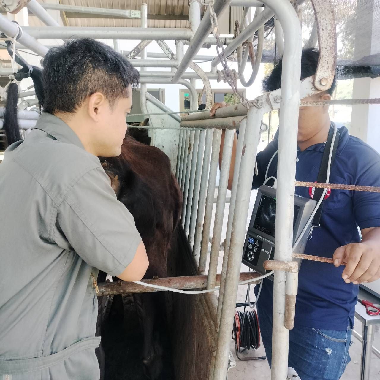 596140268 2105678933580000 5848080332143214256 n