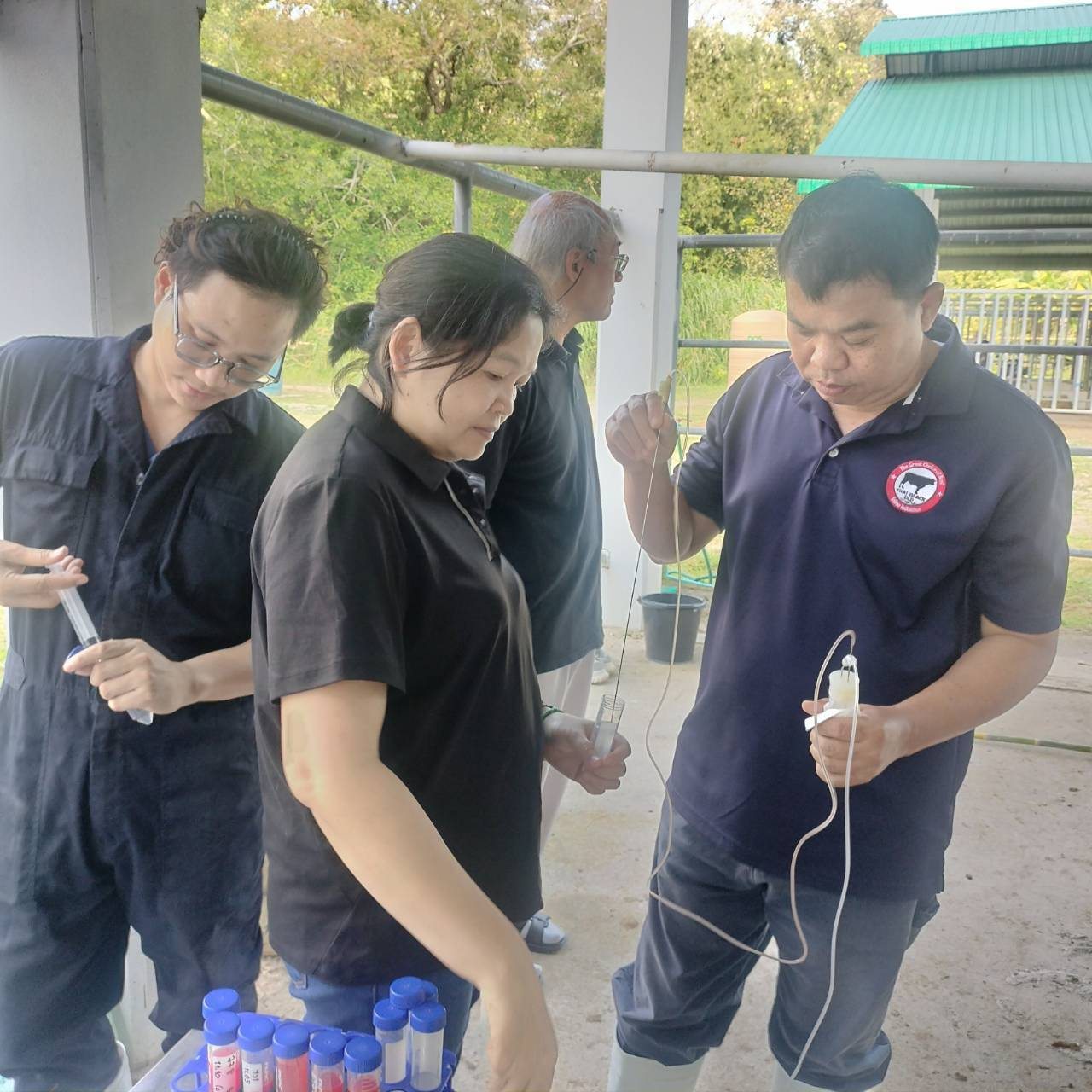 596817497 2105679153579978 2897509296475912411 n