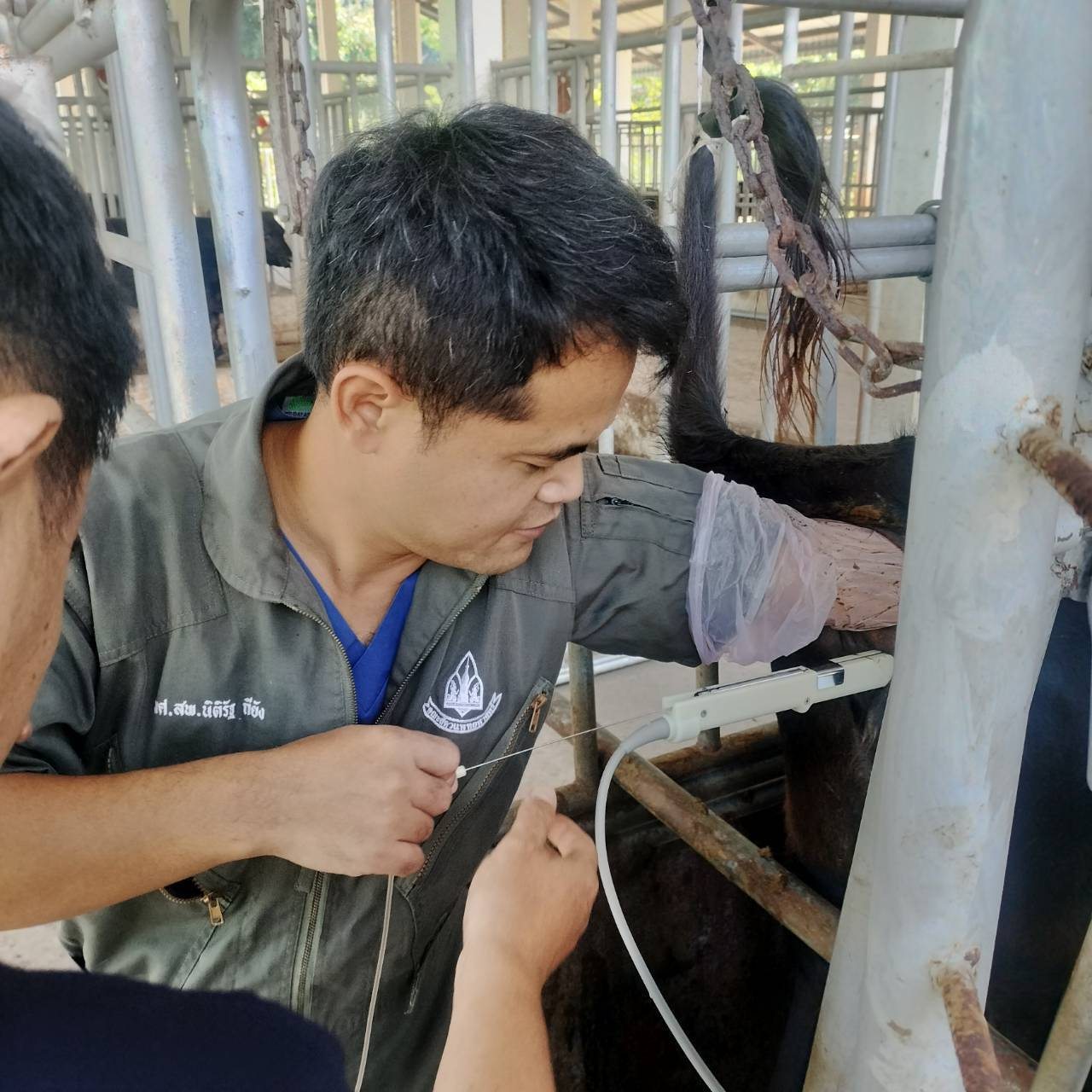 597385907 2105678990246661 4574829306903795540 n