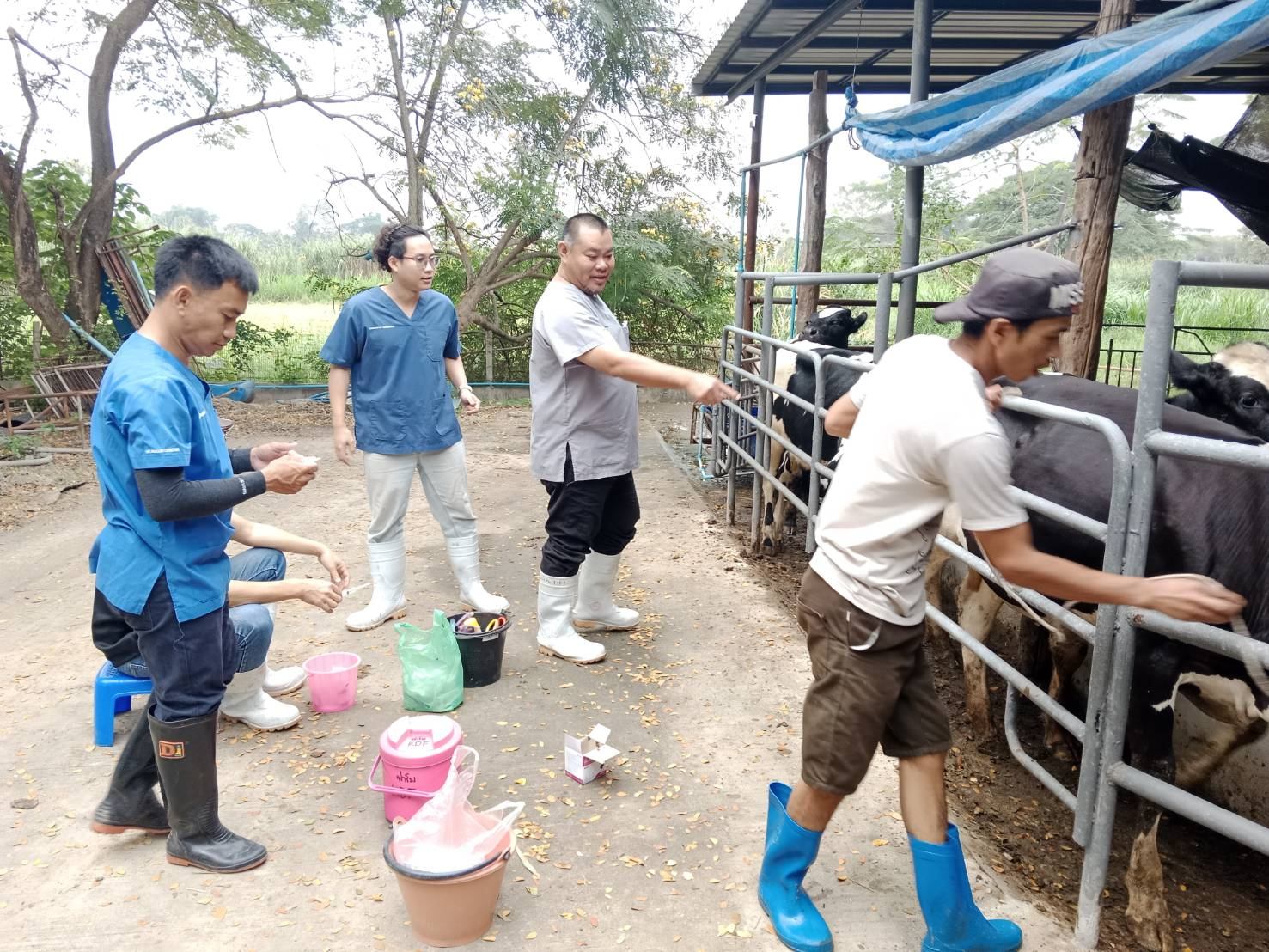 597387805 2110499876431239 5003983584322980638 n