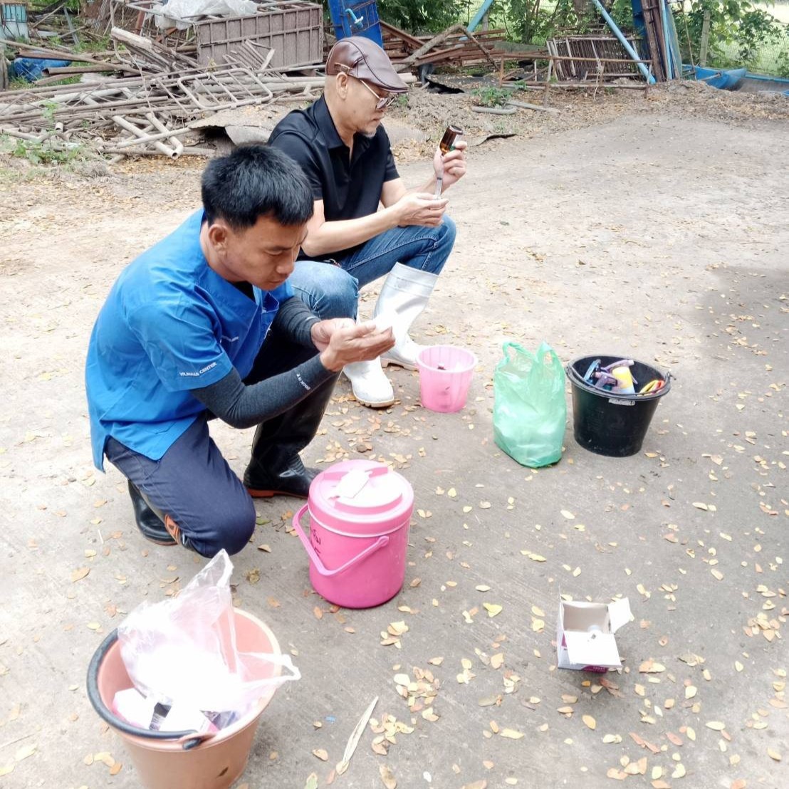 599507242 2110499819764578 5907165744195618636 n