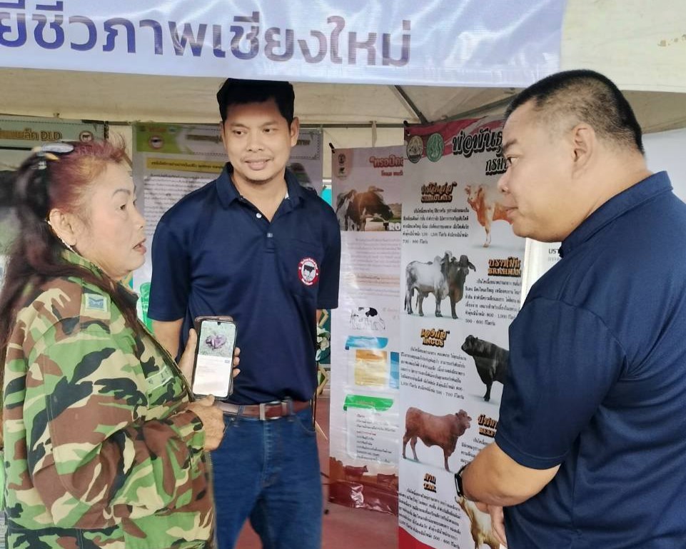 598071368 2112074112940482 6932231819804689440 n