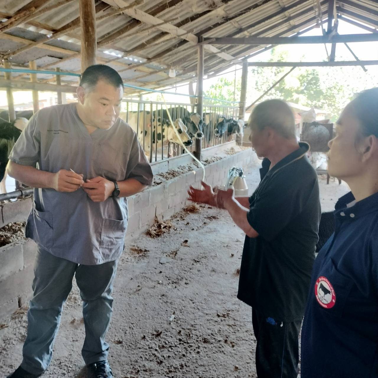 605435089 2116749819139578 5216611259167457206 n