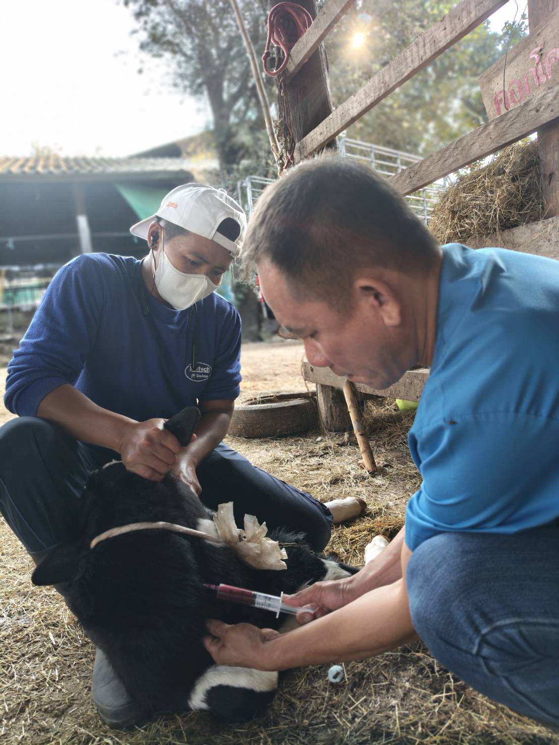 629754387 2157623665052193 8666821662502917953 n