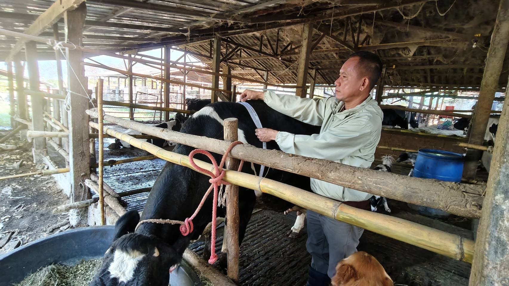 630012343 2157623381718888 2903667805756631048 n