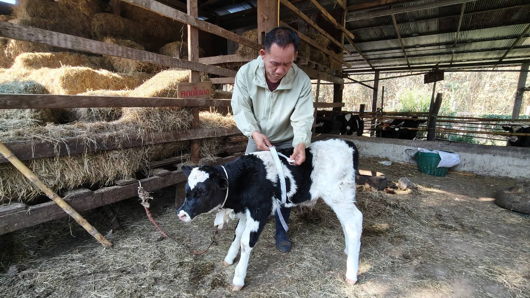 630937253 2157623545052205 1972841114655513335 n