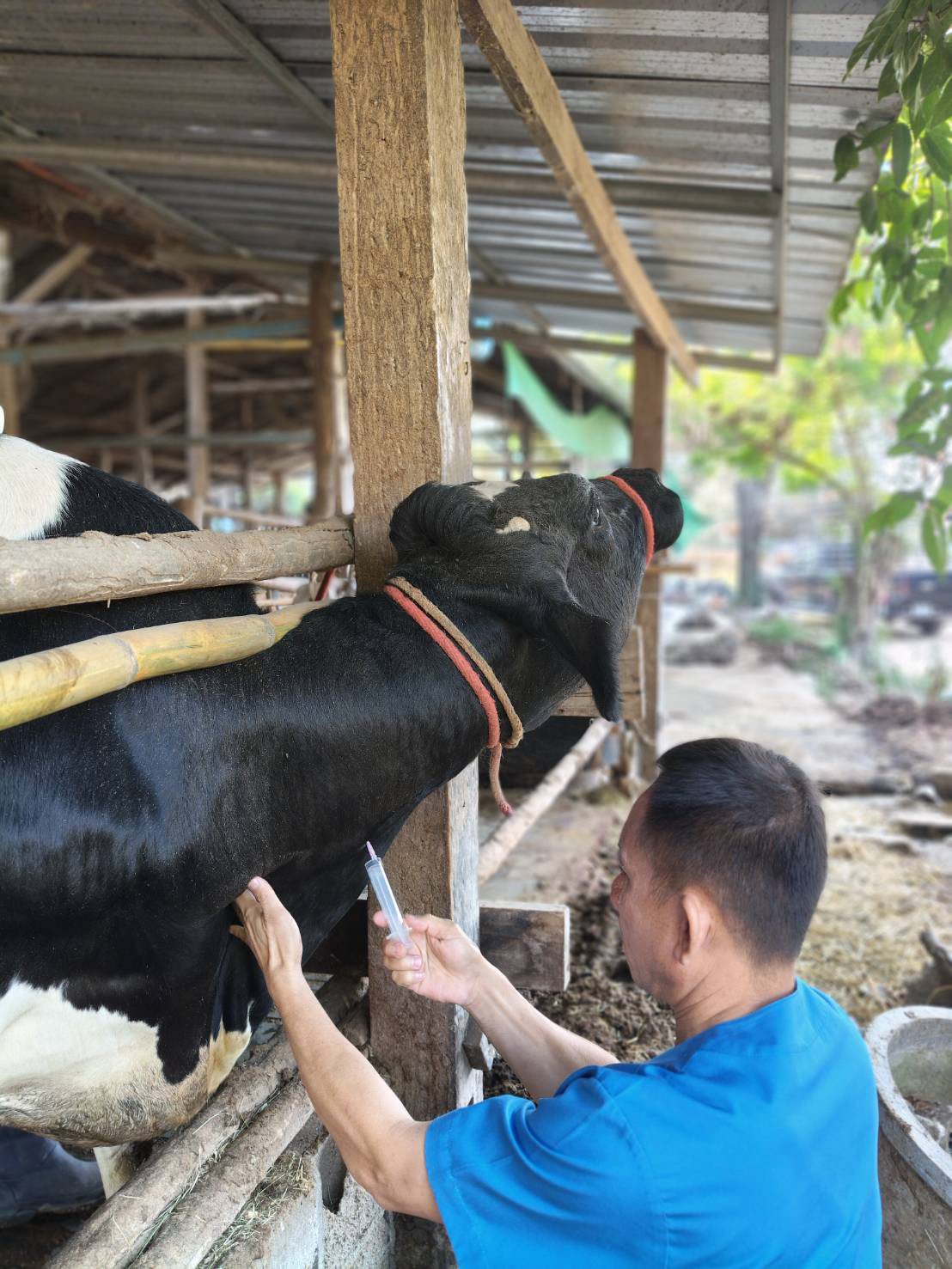 631692863 2157624285052131 921039850581621496 n