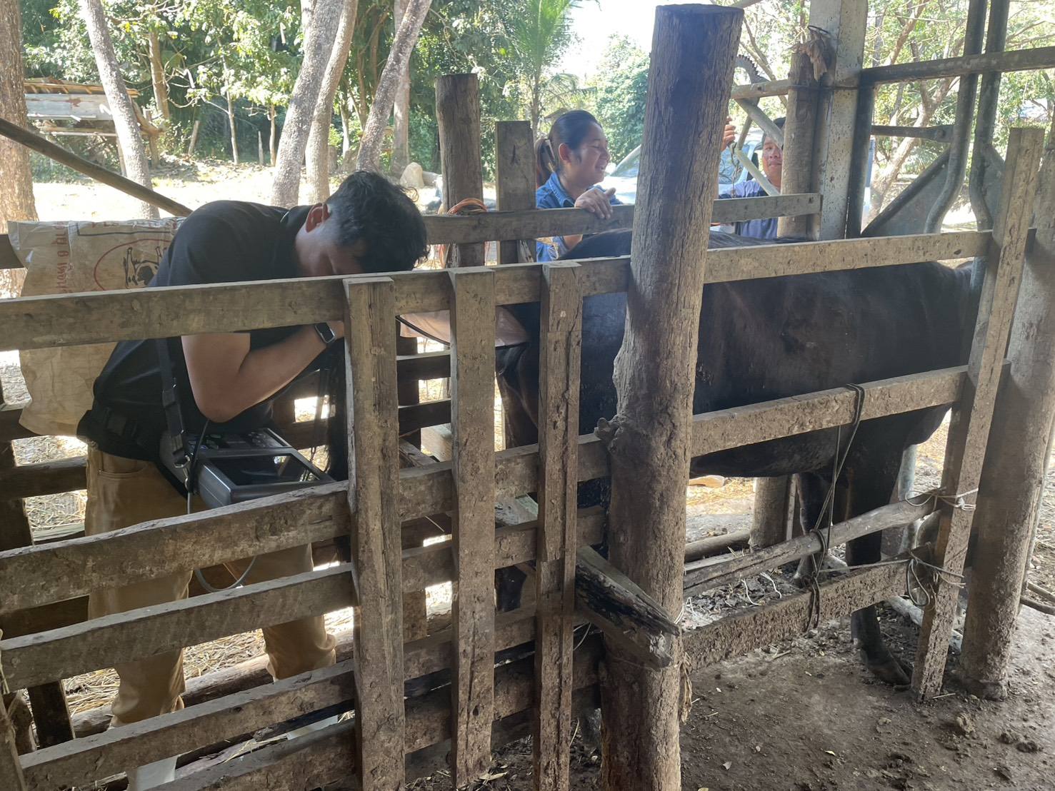 624995439 2151987142282512 8609387328882291718 n