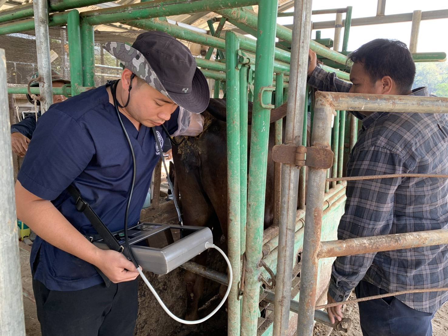 626180217 2151986962282530 6518842818455162242 n