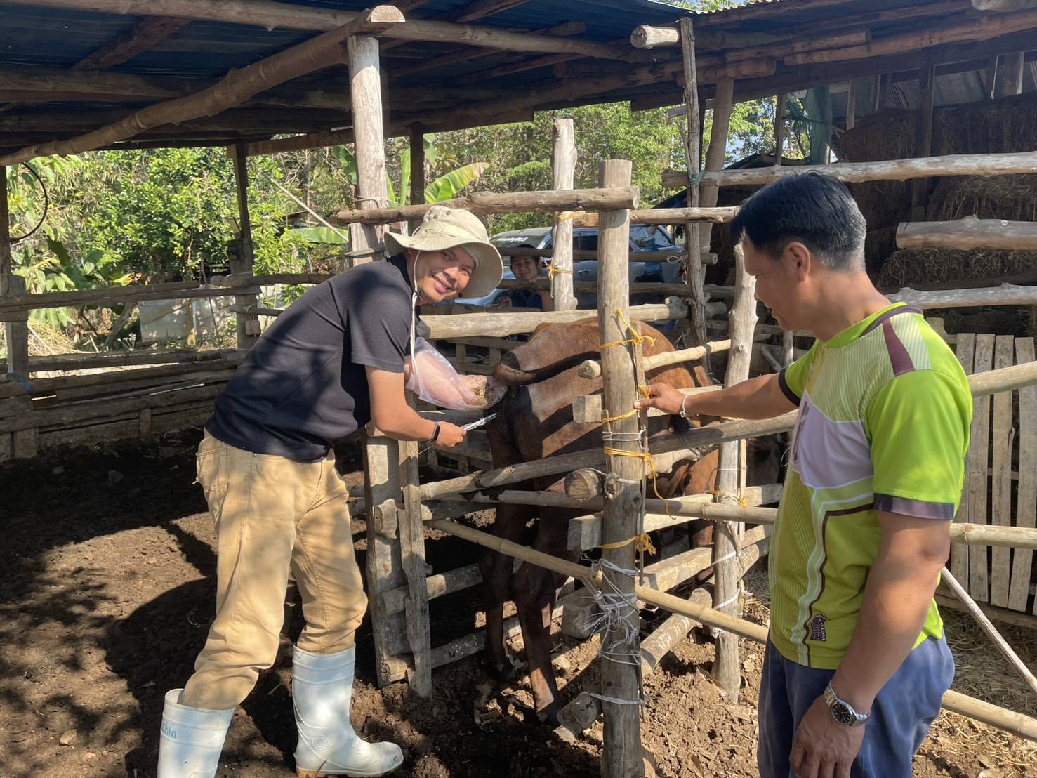 626470647 2151987012282525 6727121372654629513 n