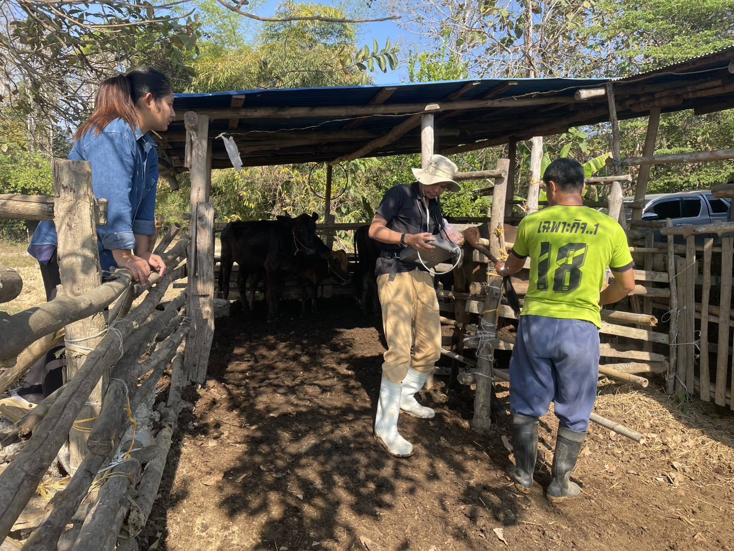 626742630 2151987075615852 6183966822049321058 n