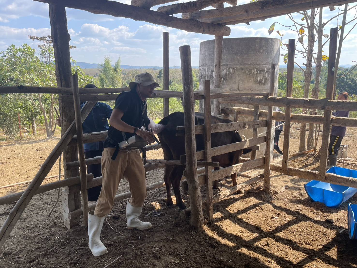 628001398 2151987282282498 5183949713639642356 n