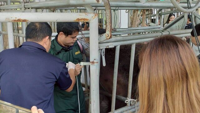 636901041 2166667544147805 7227457176928734624 n