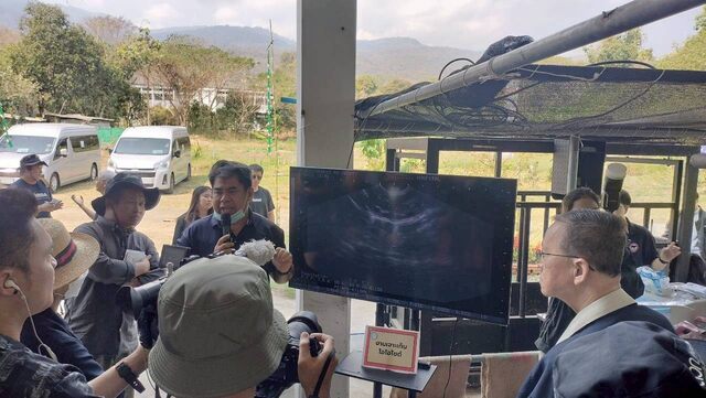 637880192 2166666384147921 6689185105377613377 n