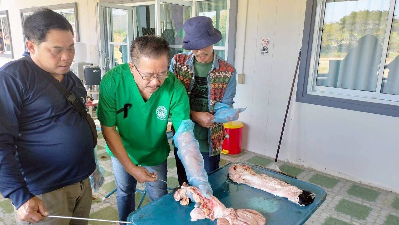 627674377 2153824628765430 4790321820930877522 n