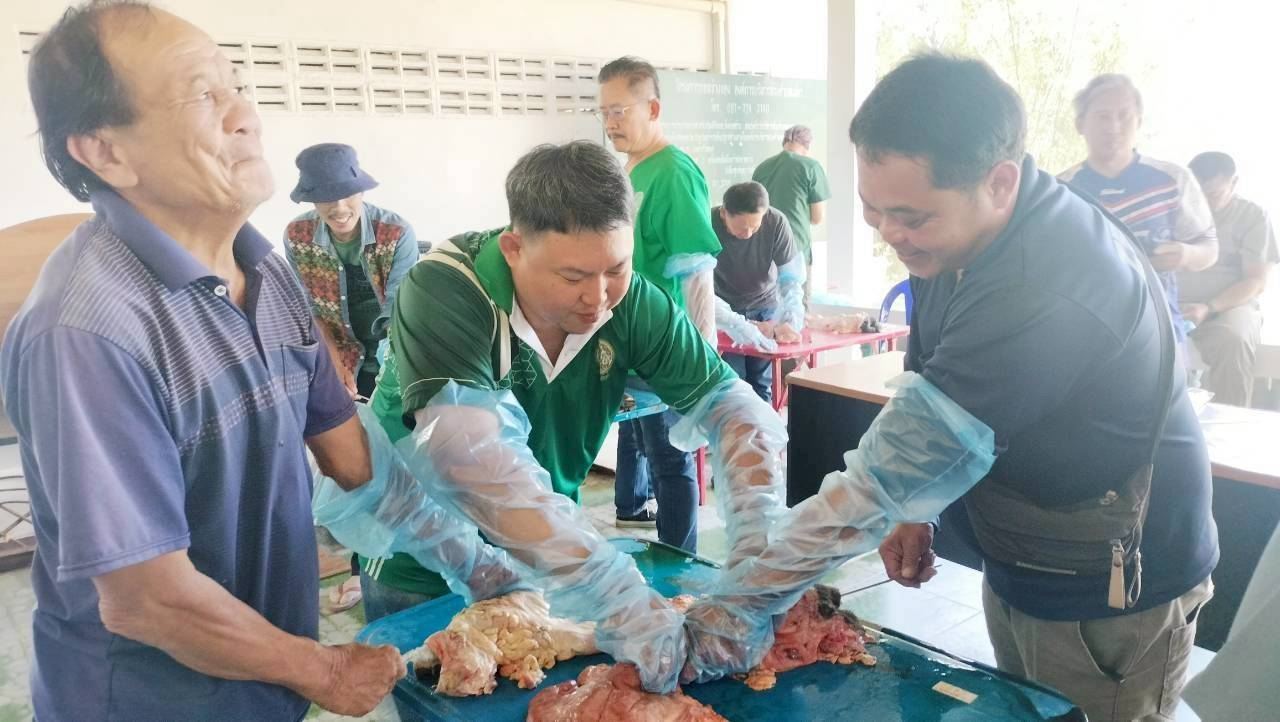 630029519 2153825192098707 2583328711033530171 n