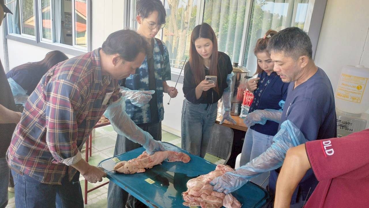 630191813 2153825412098685 2957730284235884310 n