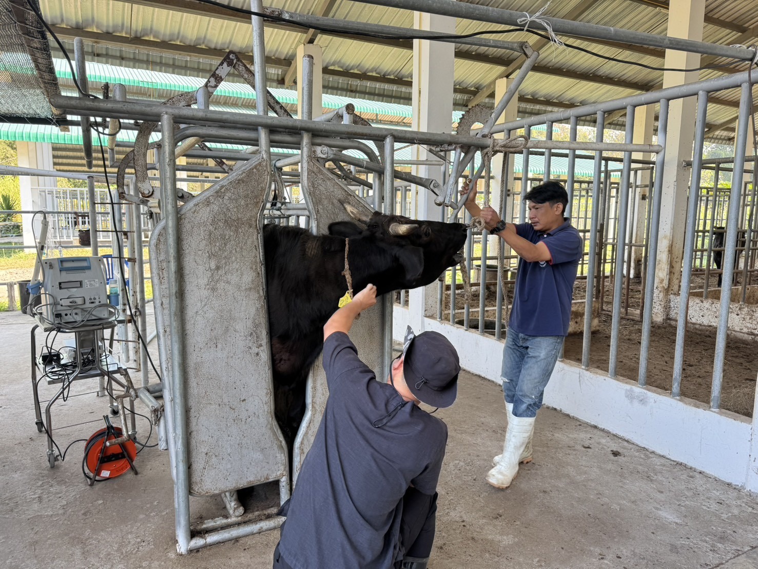 627681740 2153828248765068 7662501676125421900 n