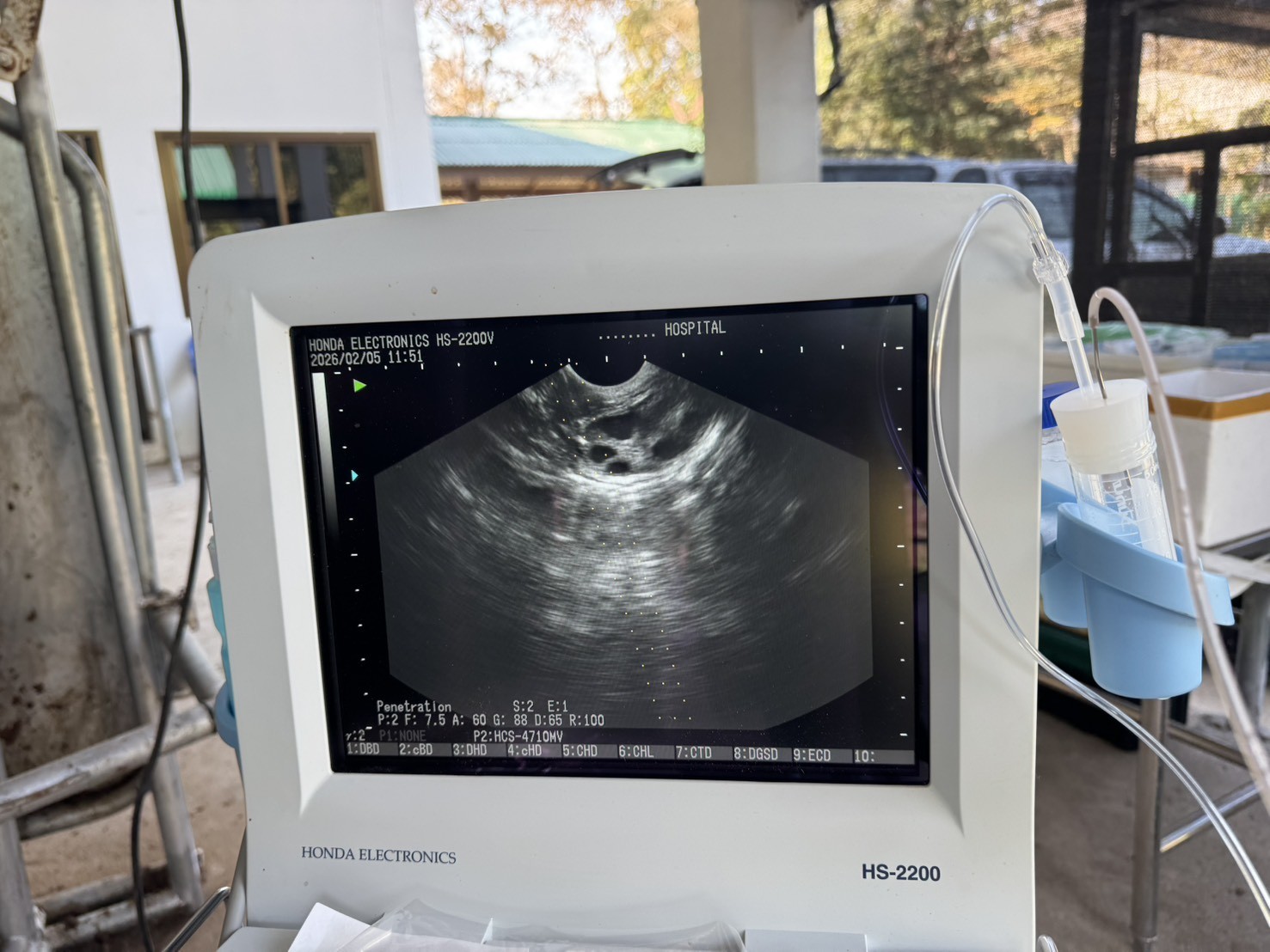 627683955 2153828482098378 4776846397877601023 n