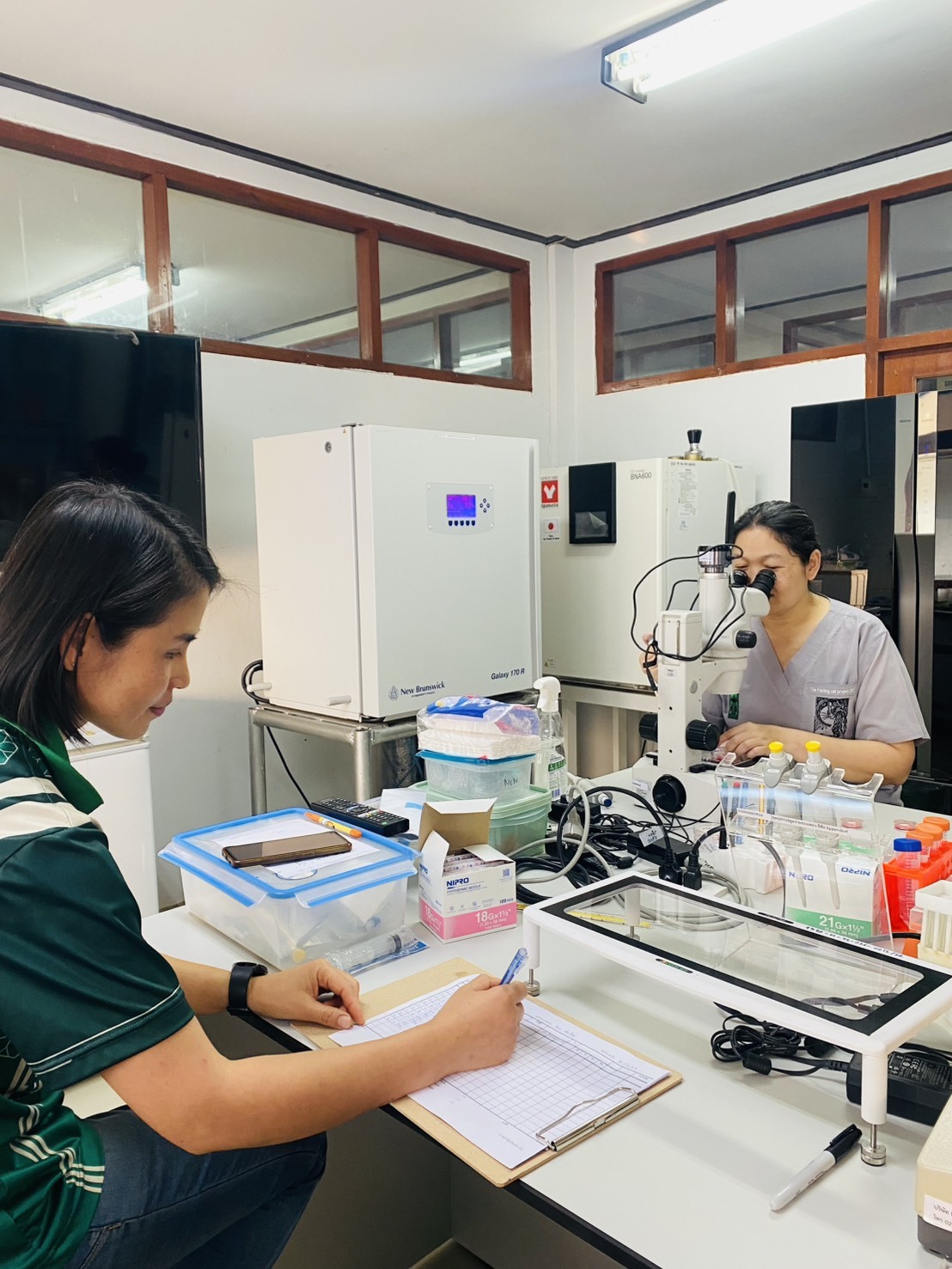 628110859 2153828825431677 5987119070924531399 n