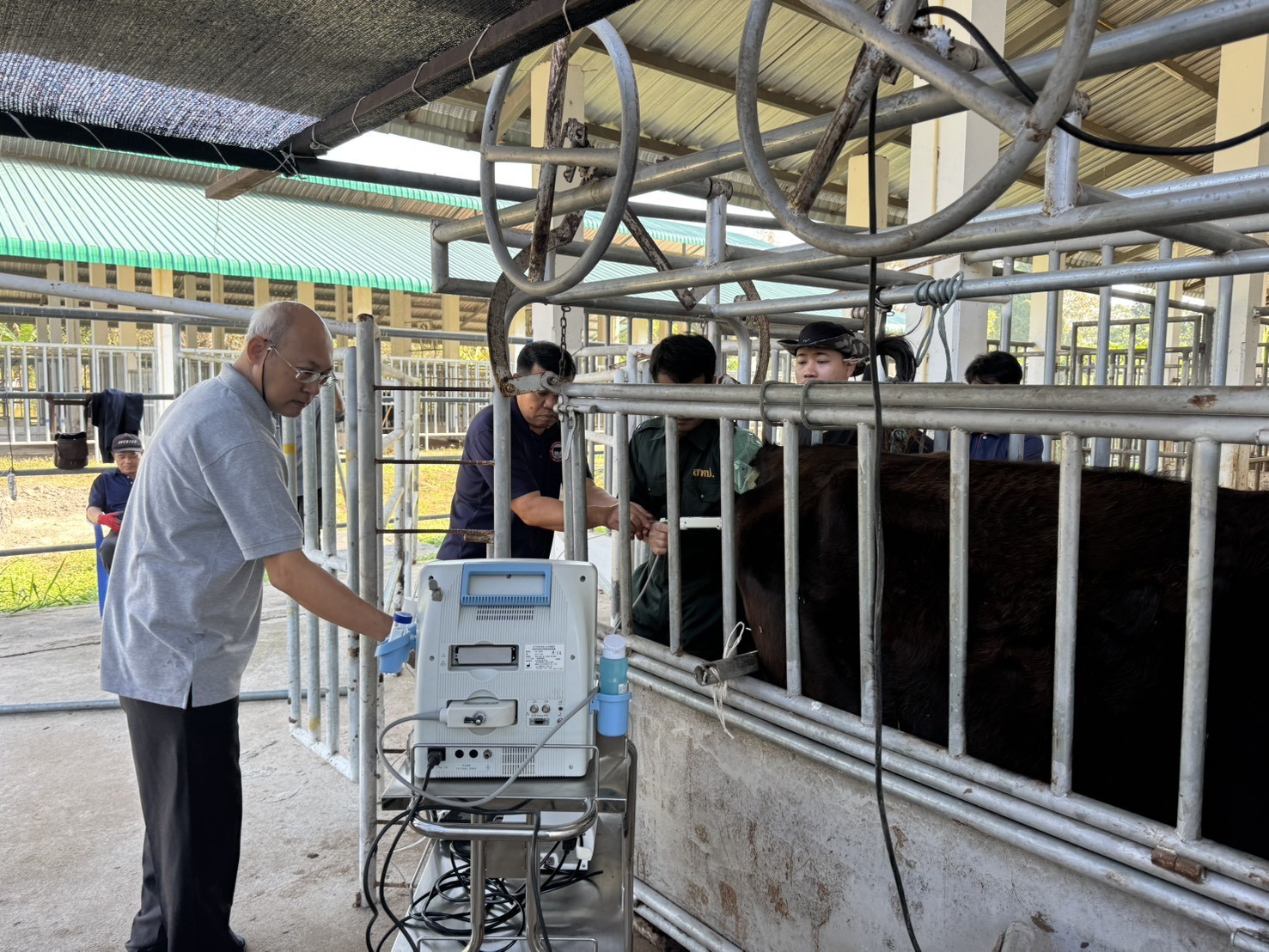 629204501 2153828398765053 6937432603616916847 n