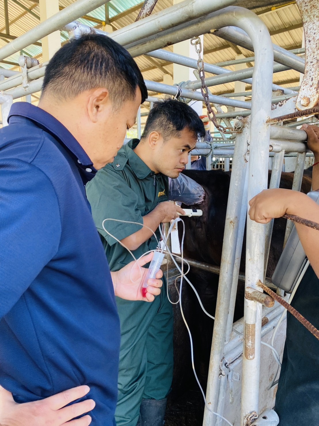 614977723 2133363270811566 648887430289245458 n