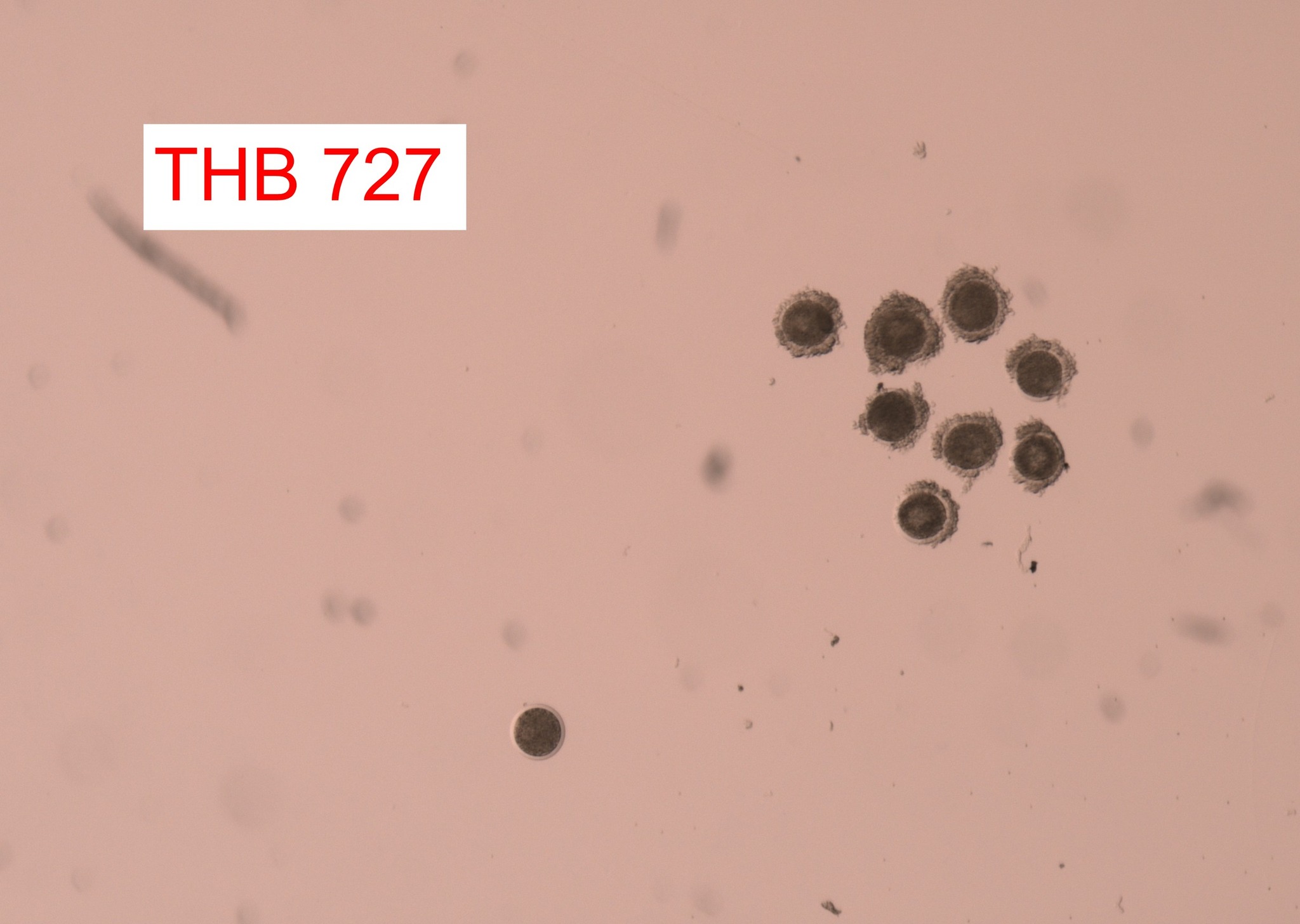 616519253 2133363804144846 6305357427130816493 n