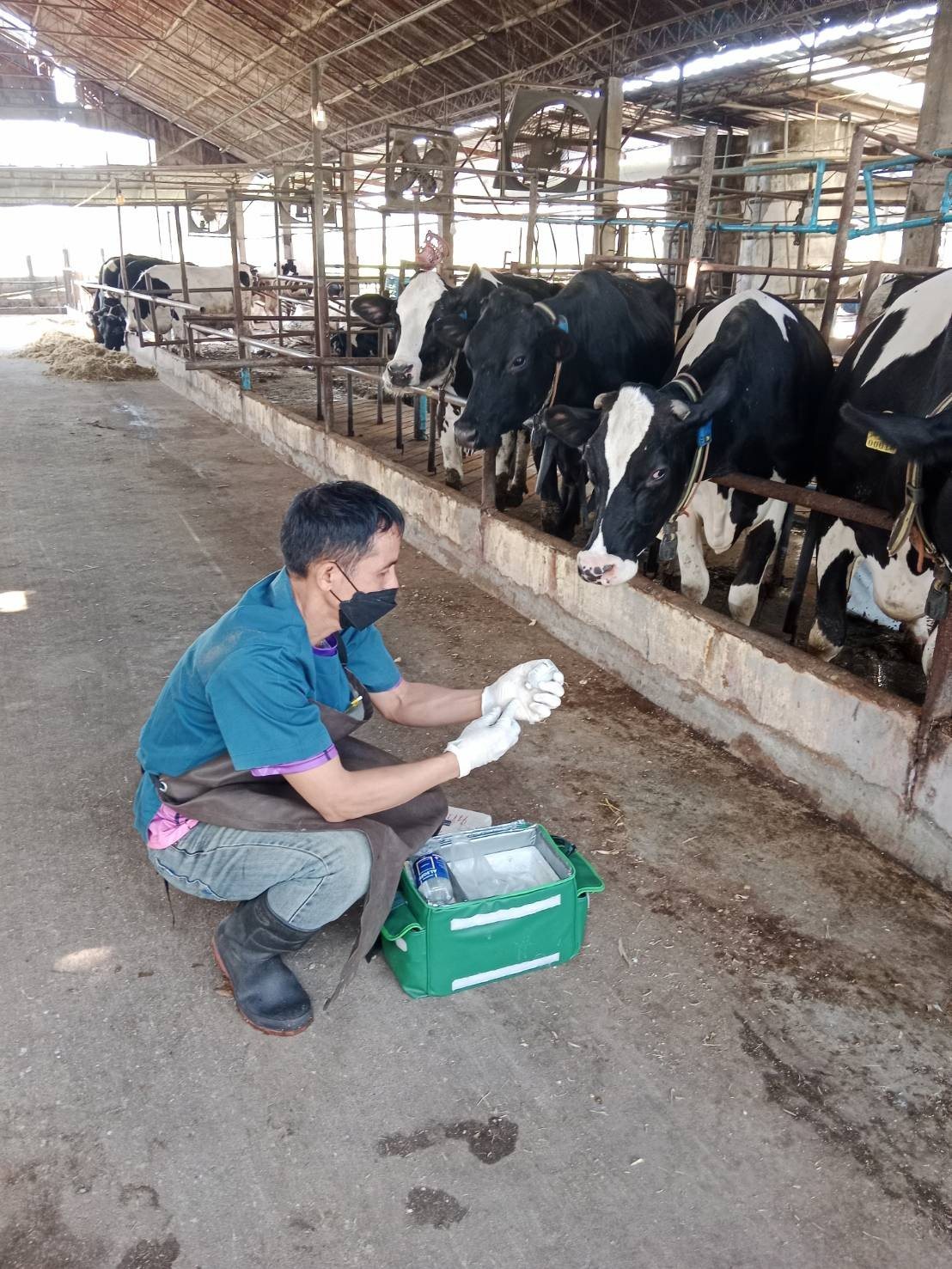 615330587 2135060767308483 3830406650055191663 n