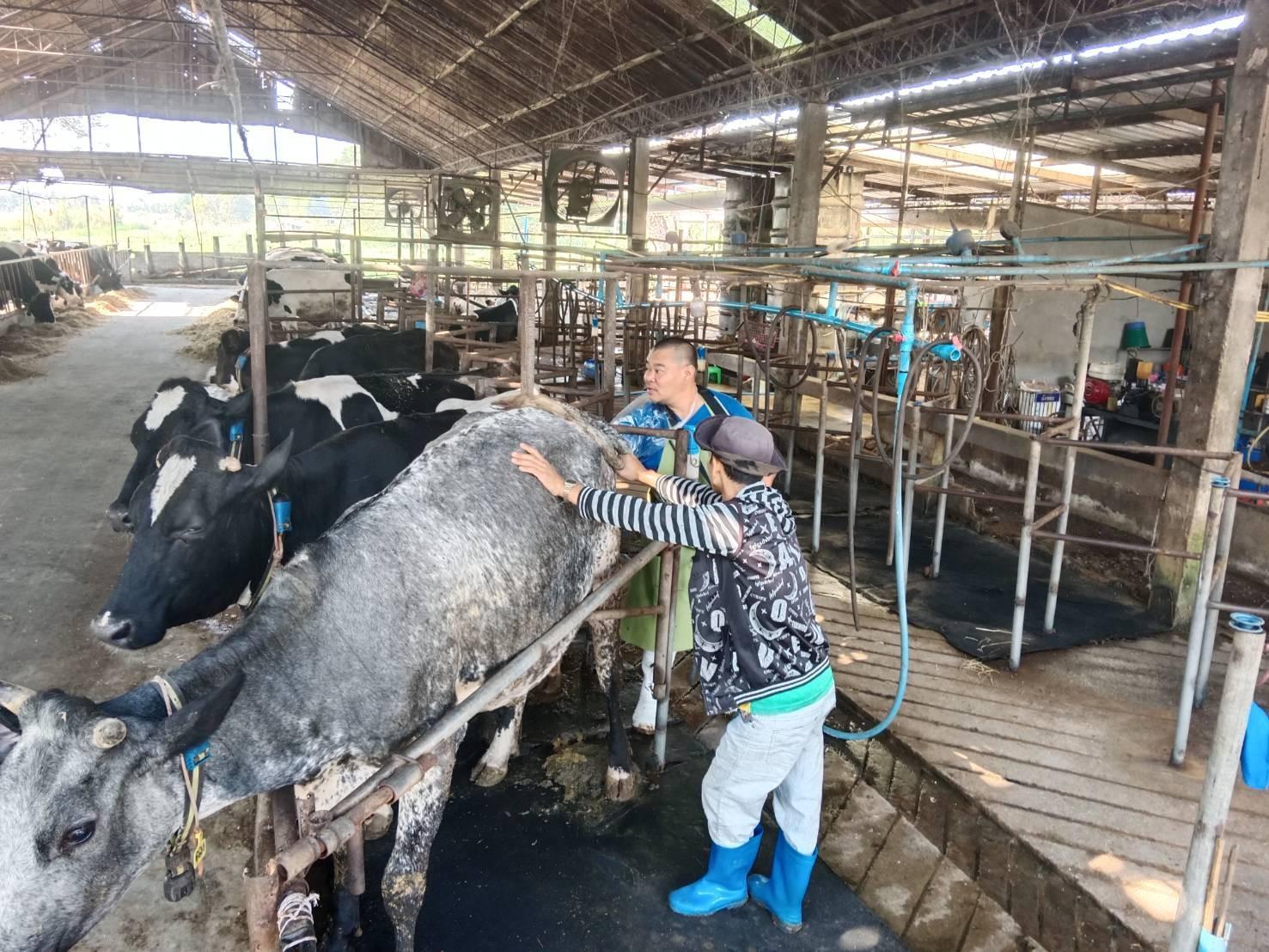 615377754 2135060527308507 7832031676991280309 n