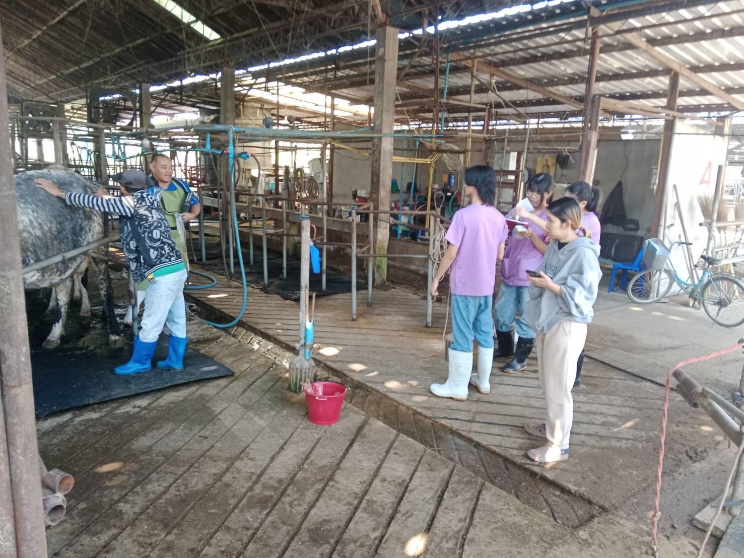 616465765 2135060623975164 987012586192968299 n