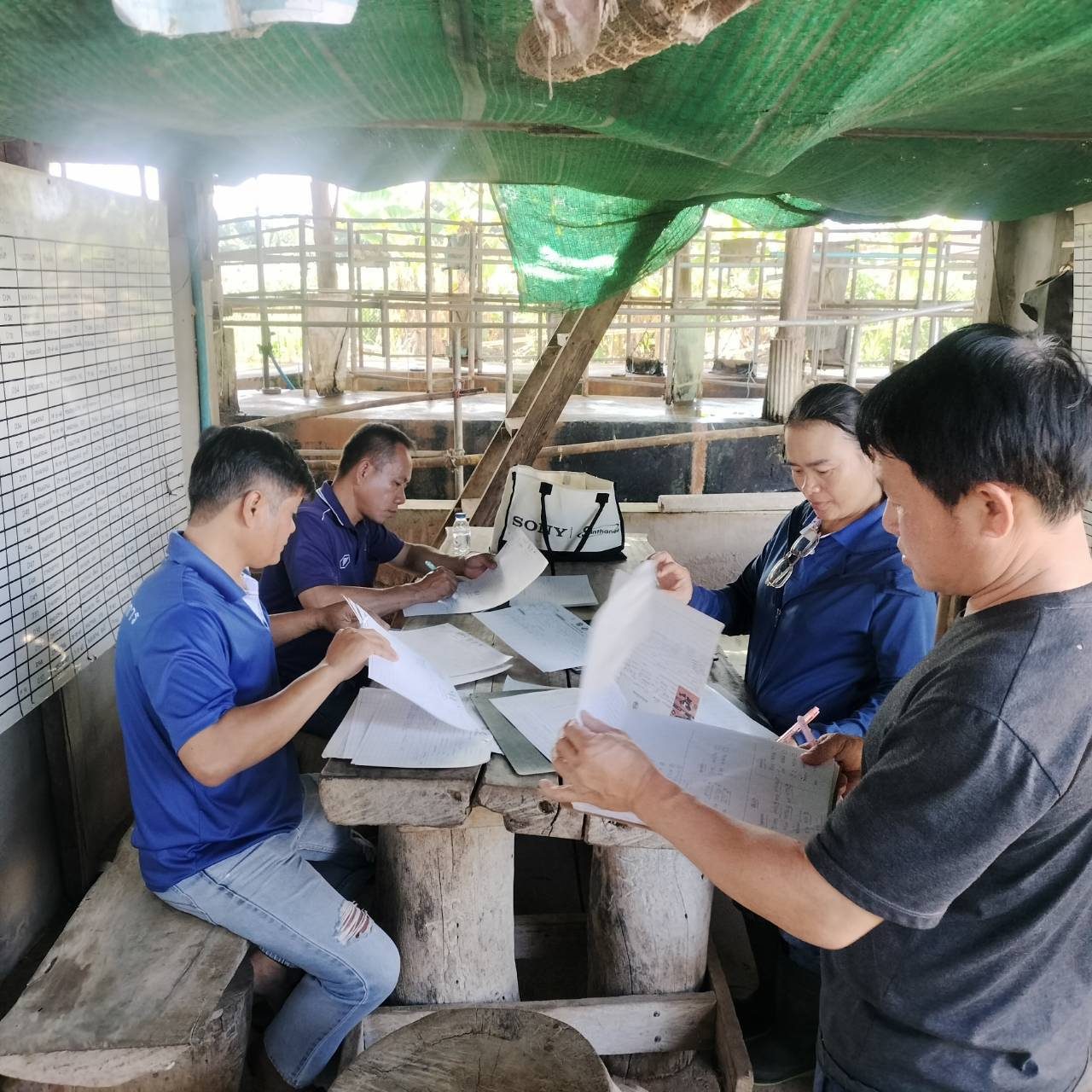 615564303 2135866937227866 2422074630398805305 n