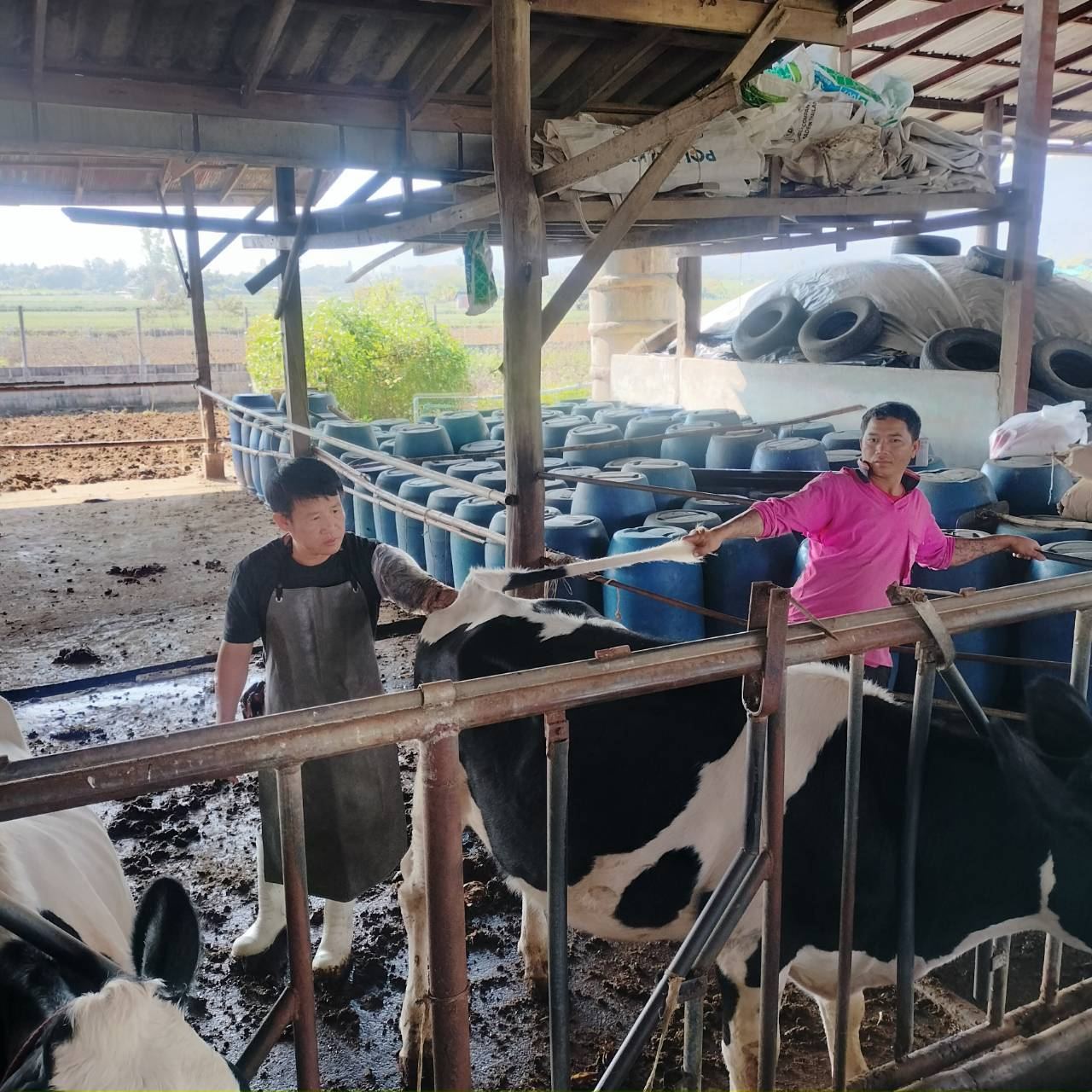 615762223 2135867073894519 2837166257645403891 n