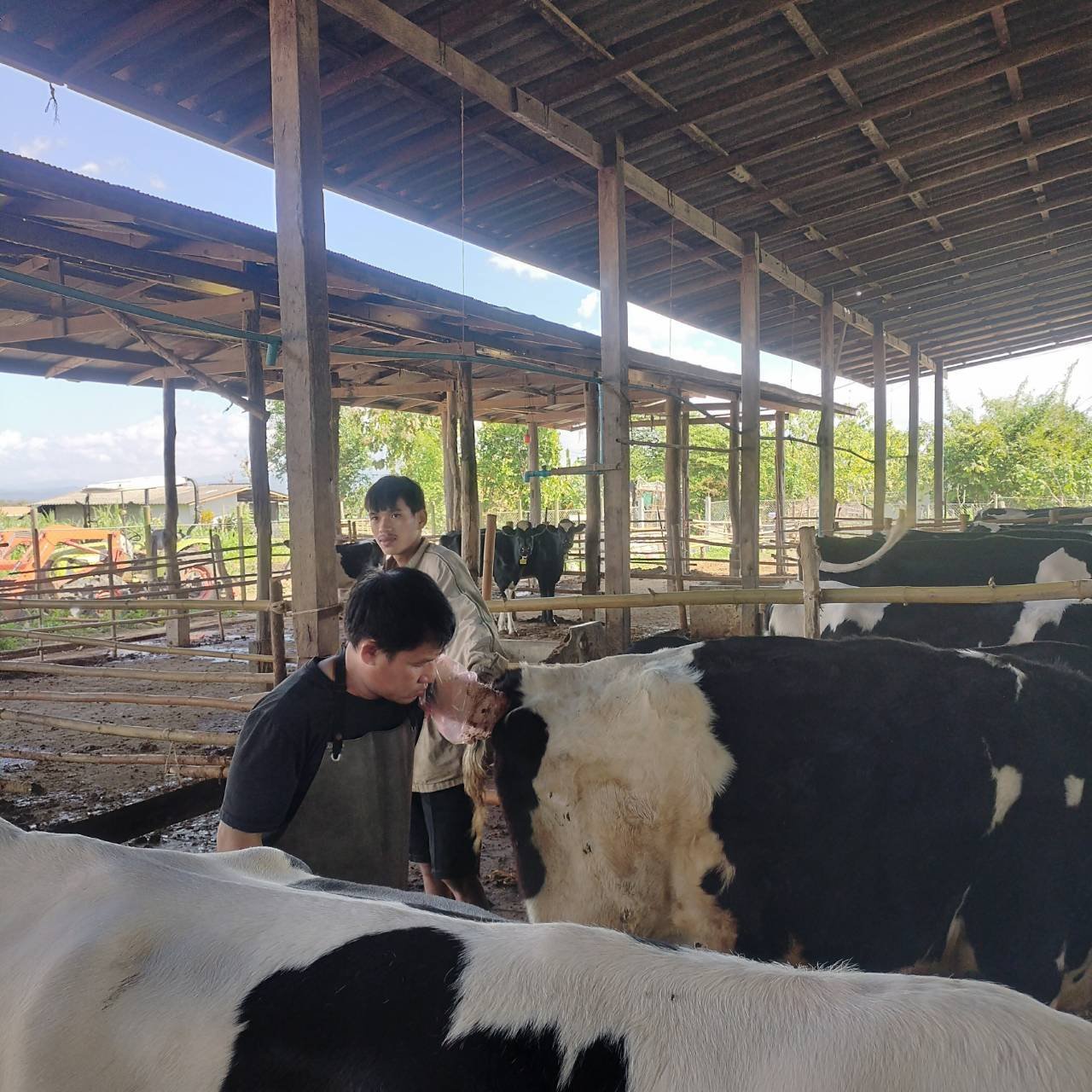 616086501 2135867177227842 7360538722356176965 n