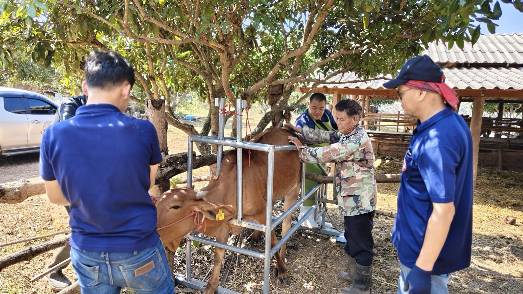 615704098 2139025373578689 3086907858319216346 n