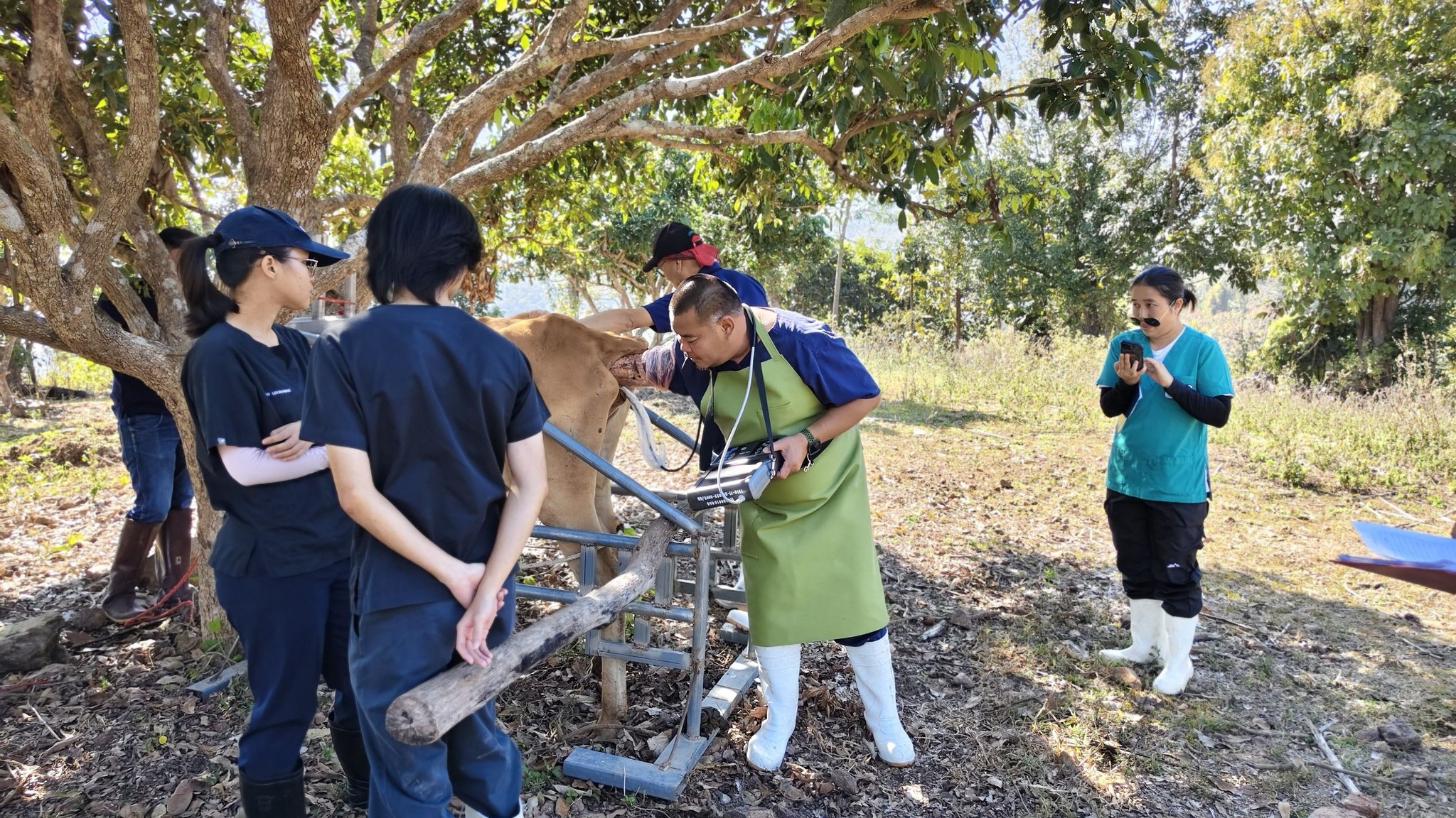 619242612 2139025203578706 5649489558506002610 n