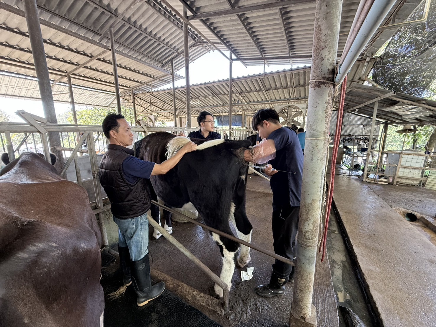 616593979 2139874113493815 3194005041622995603 n