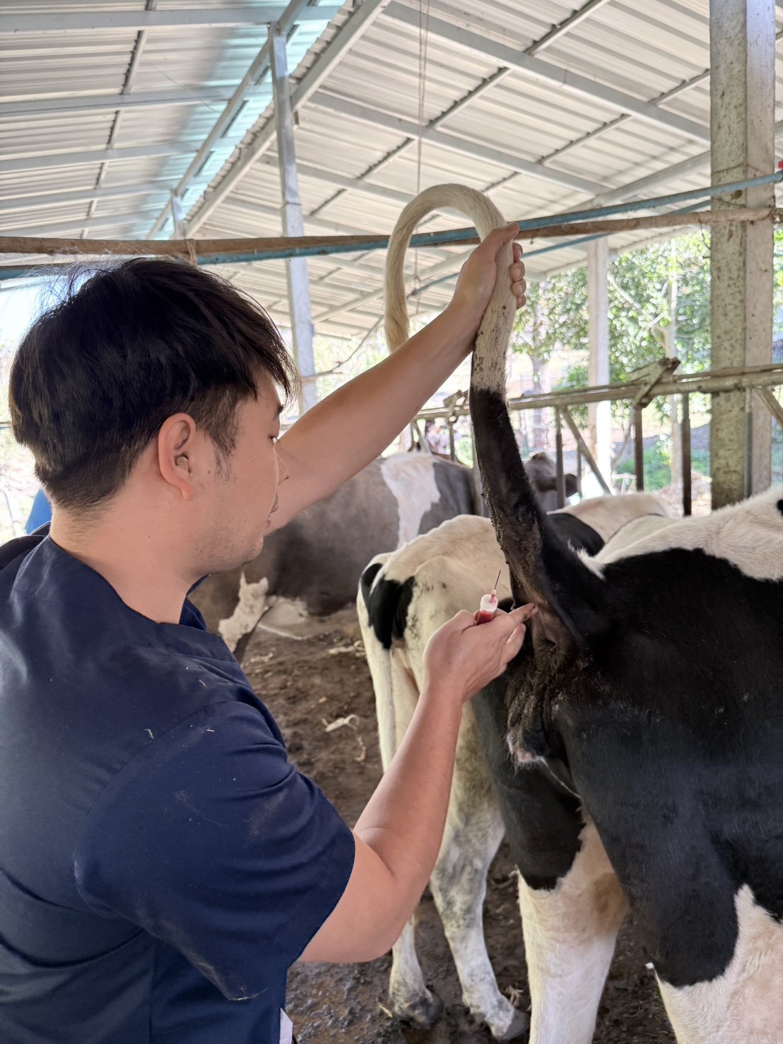 616826857 2139873950160498 3756641489787789546 n