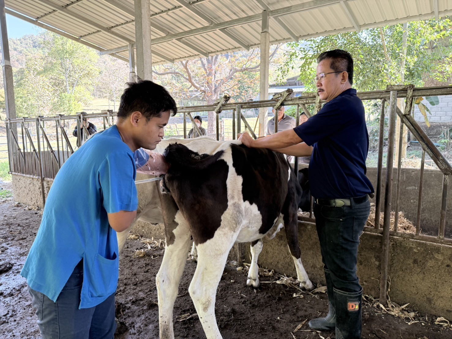 618975972 2139874023493824 2611841212034096055 n