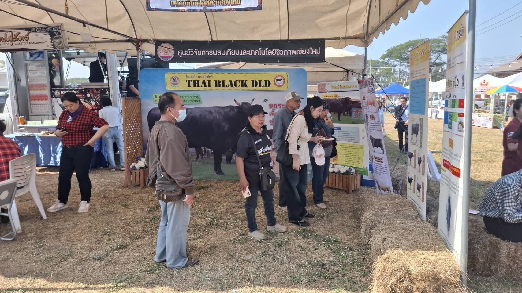 624260734 2148933562587870 4835394715290742807 n