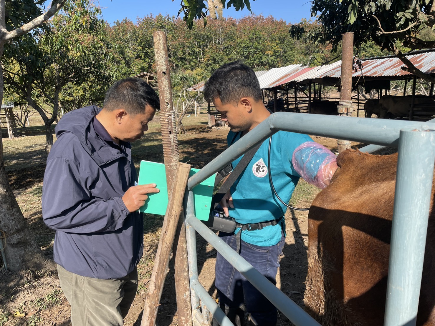 615227794 2133348380813055 2639363748074507210 n